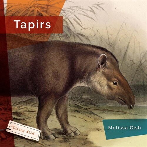 Tapirs (Hardcover)