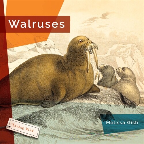 Walruses (Hardcover)