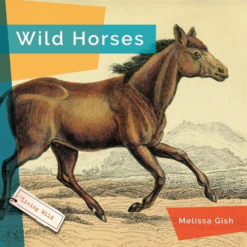Wild Horses (Hardcover)