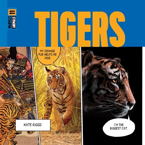 Tigers (Hardcover)