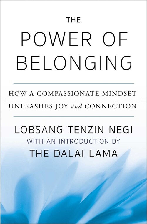 The Power of Belonging (Paperback, Export)