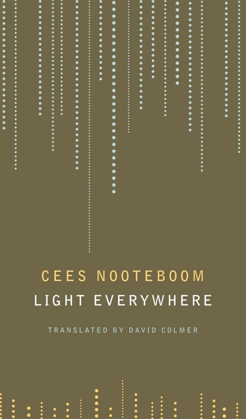 Light Everywhere : Selected Poems (Paperback)