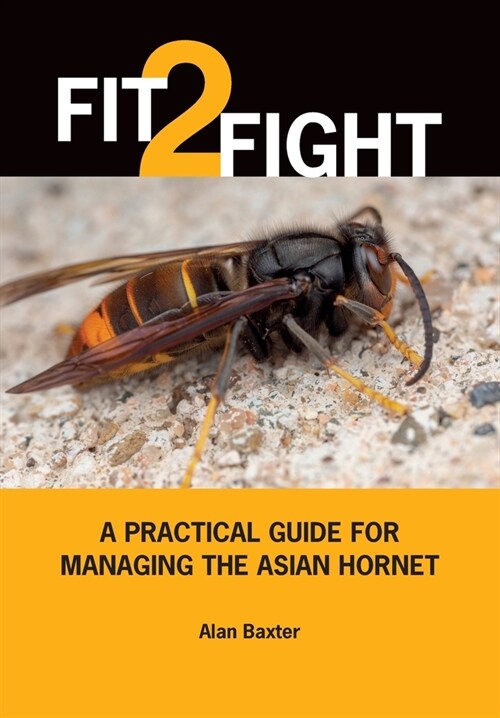 Fit 2 Fight (Paperback)