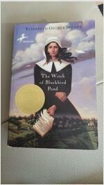 [중고] Witch of Blackbird Pond (Paperback, Reprint)