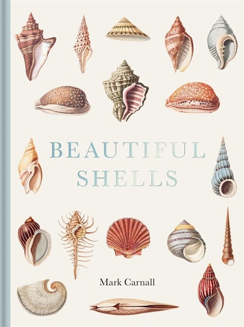 Beautiful Shells (Hardcover)