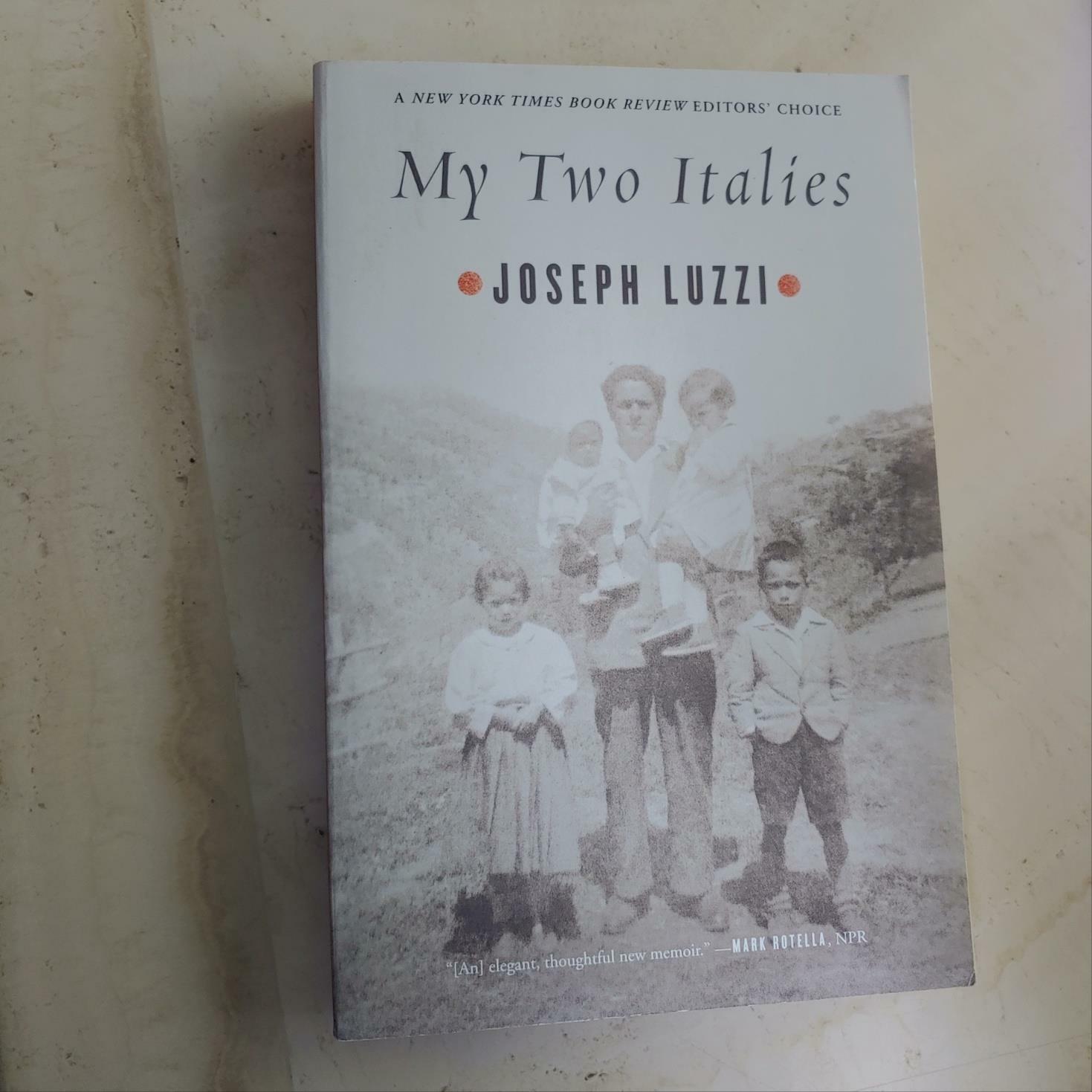 [중고] My Two Italies: A Personal and Cultural History (Paperback)