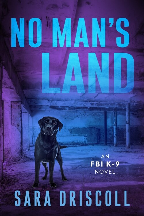 No Mans Land (Paperback)