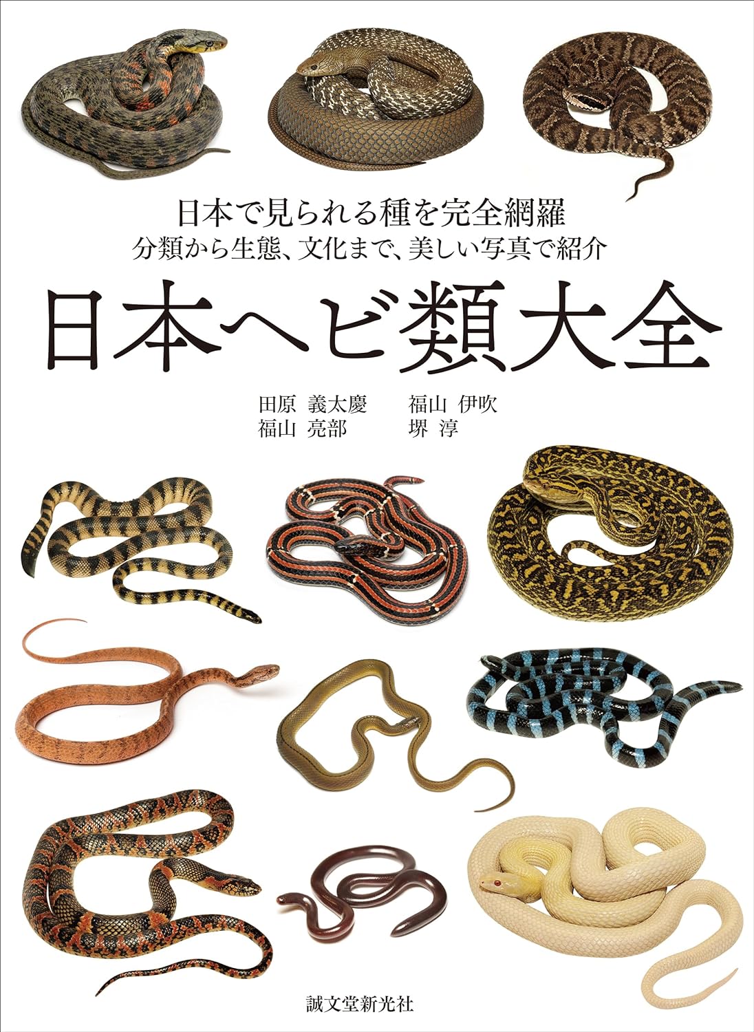 日本ヘビ類大全: 日本で見られる種を完全網羅 分類から生態、文化まで、美しい寫眞で紹介