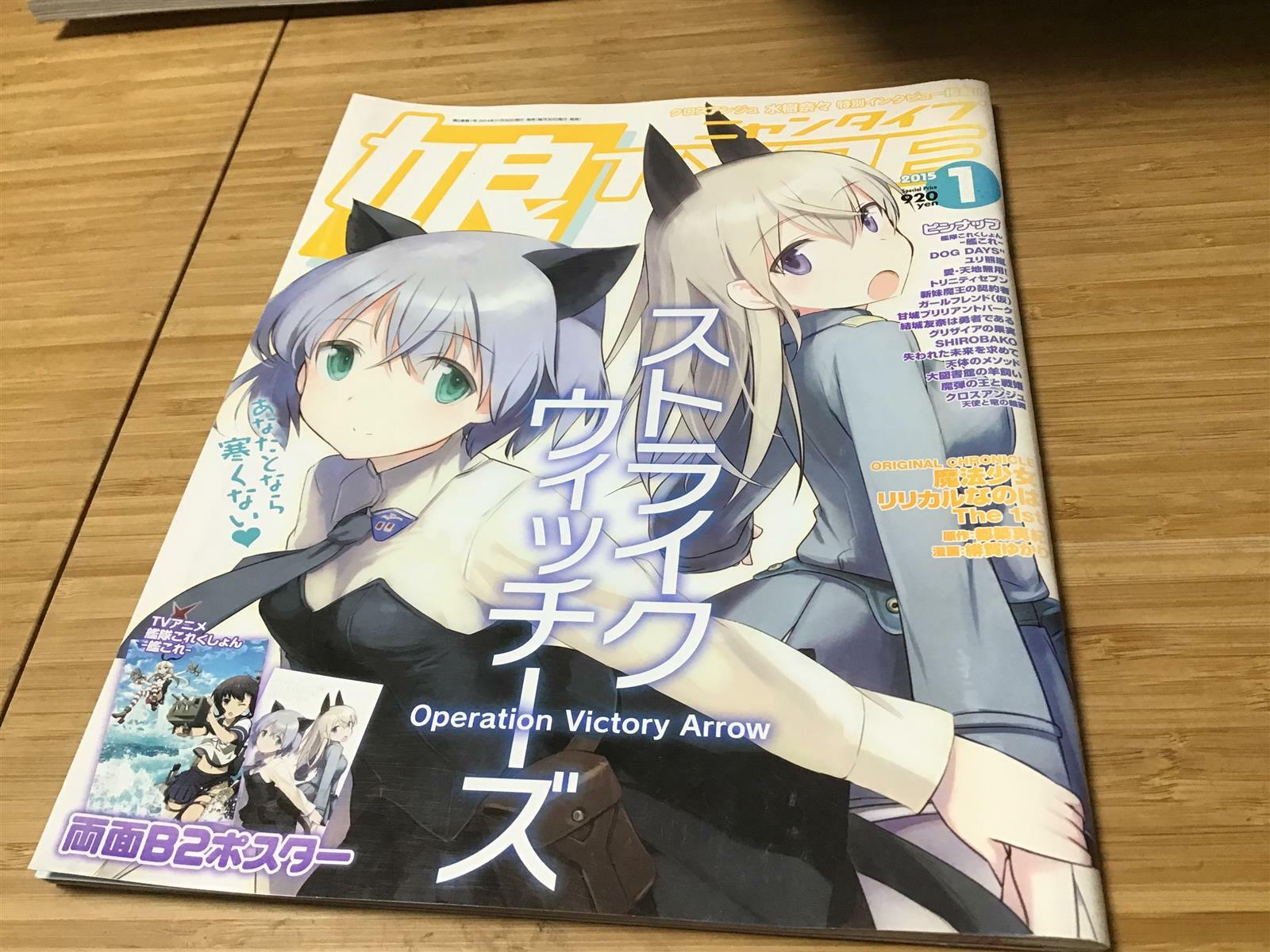 [중고] 娘TYPE (ニャンタイプ) 2015年 01月號 [雜誌] (月刊, 雜誌)  (Paperback)