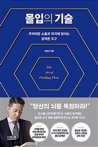 몰입의 기술