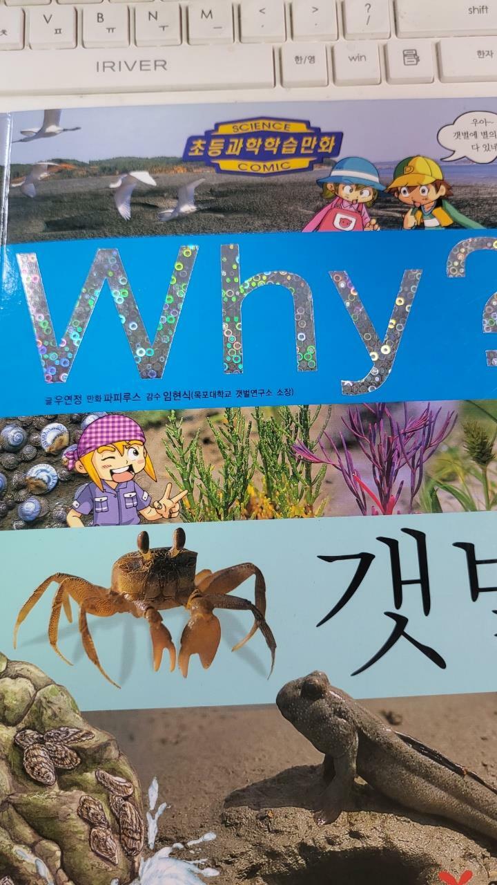 [중고] Why? 갯벌
