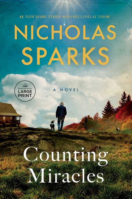 Counting Miracles (Paperback)