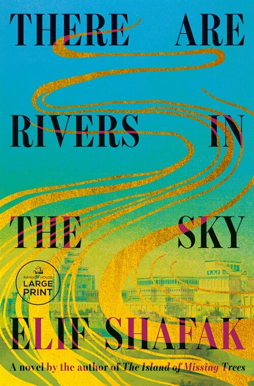 There Are Rivers in the Sky (Paperback)