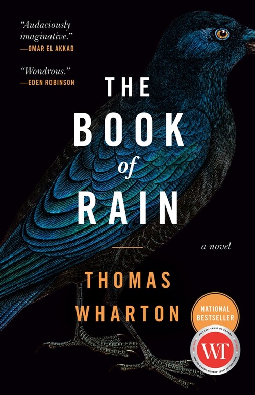 The Book of Rain (Paperback)