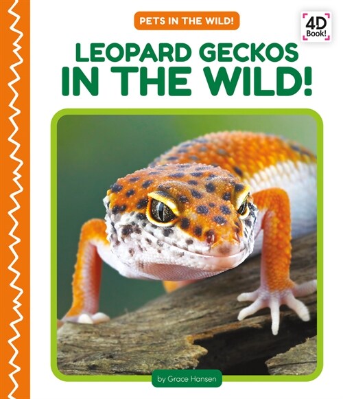 Leopard Geckos in the Wild! (Library Binding)