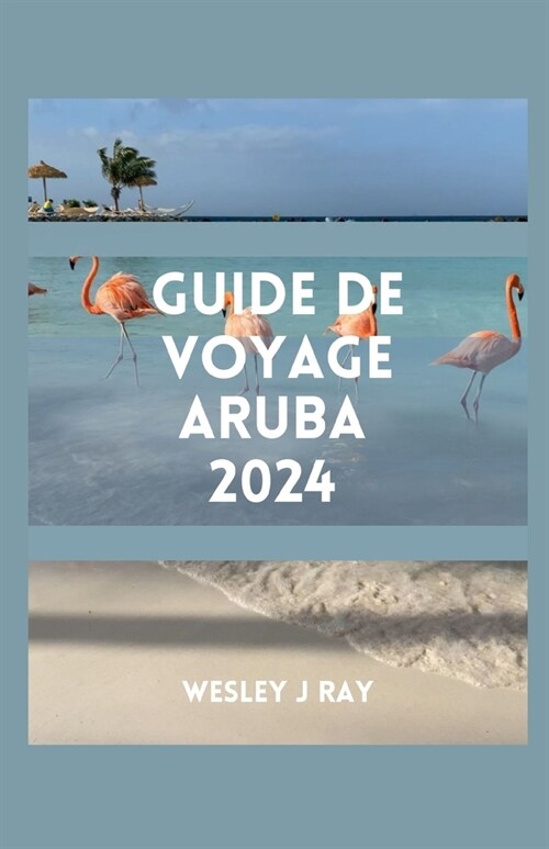 Guide de Voyage Aruba: D?ouvrez les grandes plages, litin?aire, les tr?ors cach?, la cuisine, la culture, laventure et les choses ?fai (Paperback)