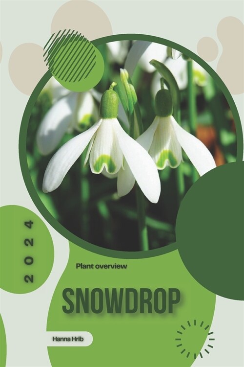 Snowdrop: Simply beginners guide (Paperback)