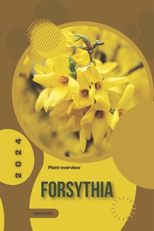 Forsythia: Simply beginners guide (Paperback)