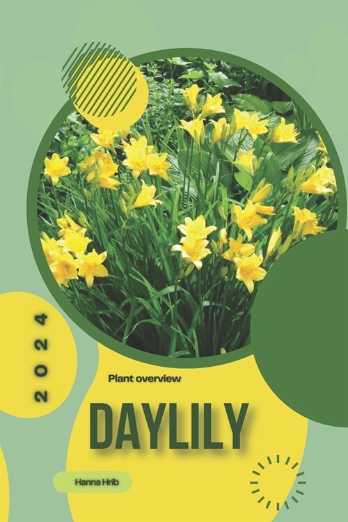 Daylily: Simply beginners guide (Paperback)