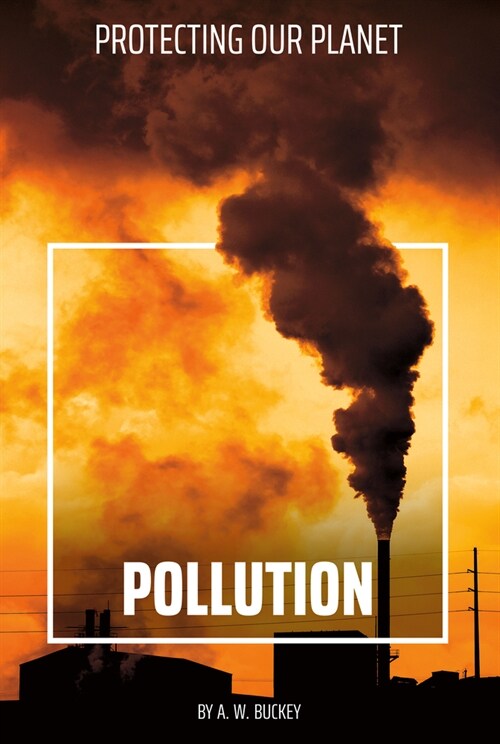 Pollution (Library Binding)