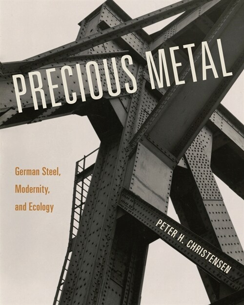 Precious Metal: German Steel, Modernity, and Ecology (Paperback)