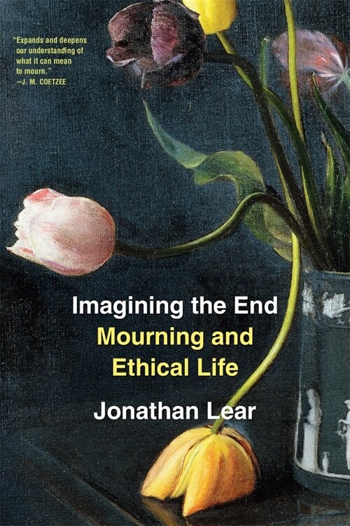 Imagining the End: Mourning and Ethical Life (Paperback)