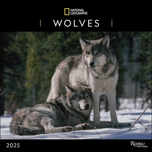 National Geographic: Wolves 2025 Wall Calendar (Wall)