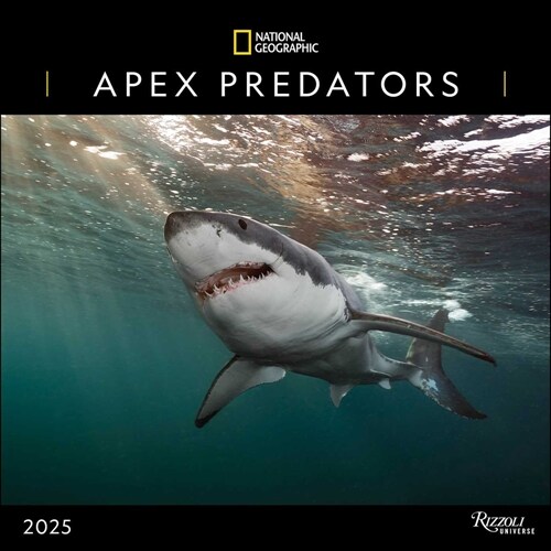 National Geographic: Apex Predators 2025 Wall Calendar (Wall)