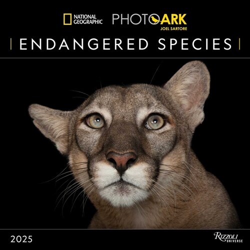 National Geographic: Endangered Species 2025 Wall Calendar (Wall)