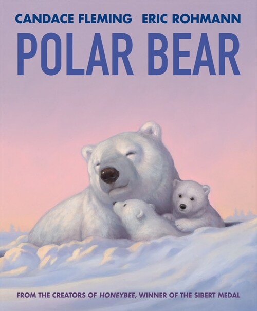 Polar Bear (Paperback)
