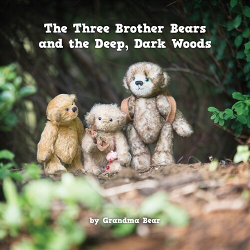 The Three Brother Bears and the Deep, Dark Woods (Paperback)