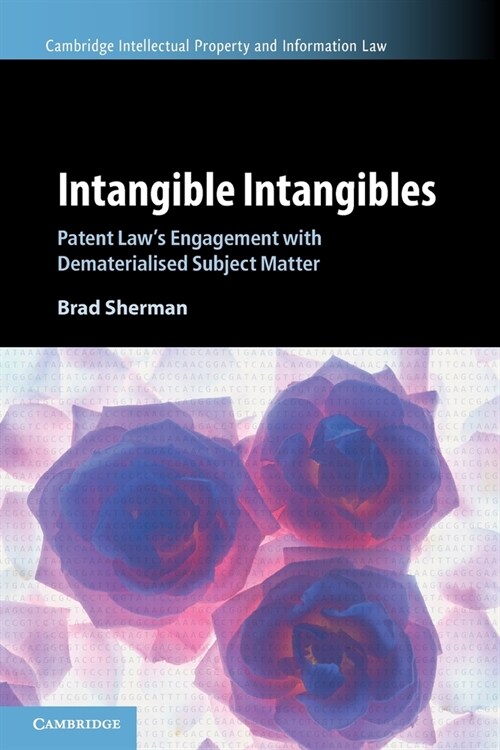 Intangible Intangibles : Patent Laws Engagement with Dematerialised Subject Matter (Paperback)