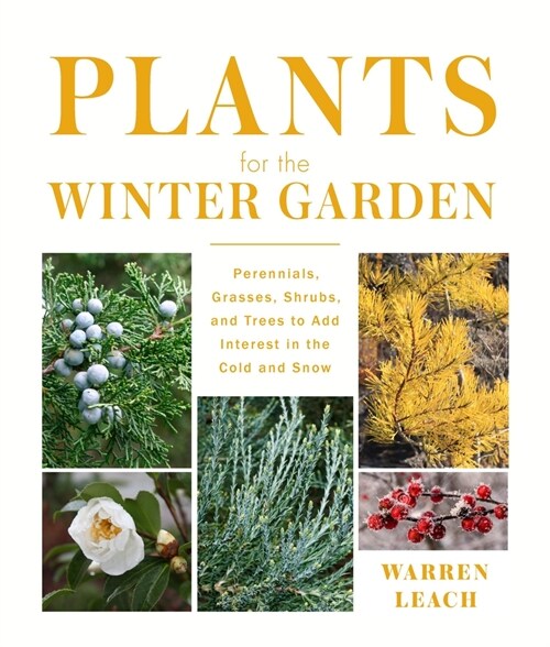 Plants for the Winter Garden: Perennials, Grasses, Shrubs, and Trees to Add Interest in the Cold and Snow (Hardcover)