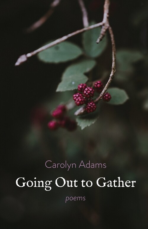 Going Out to Gather (Paperback)