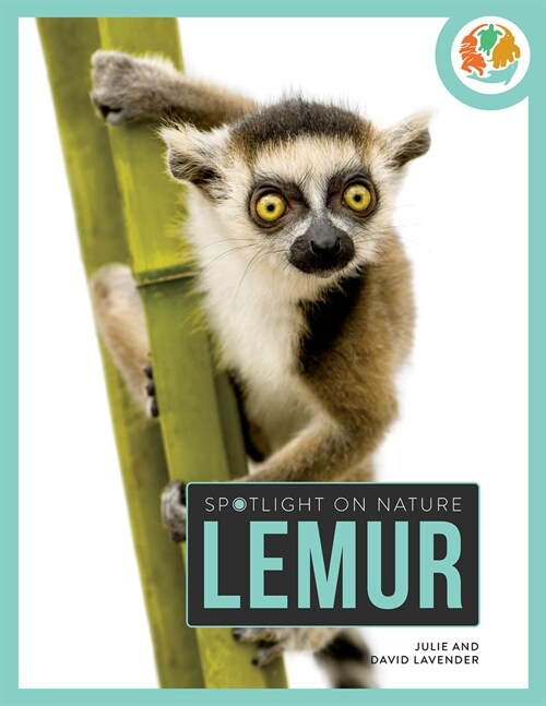 Lemur (Paperback)