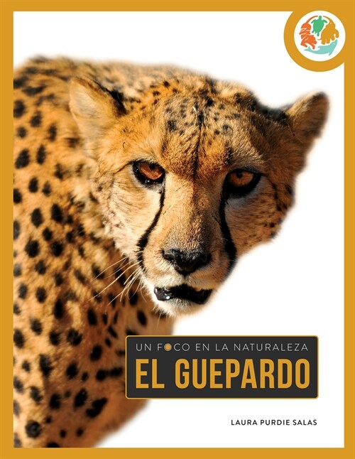 Guepardo (Paperback)