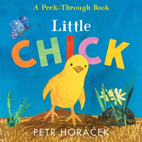 Little Chick (Board Books)