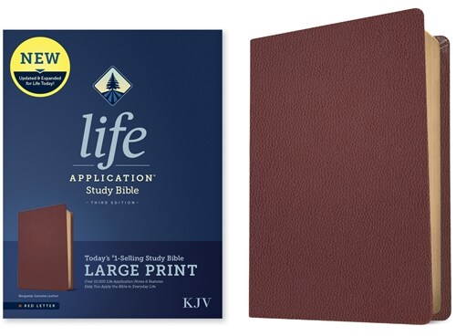 KJV Life Application Study Bible, Third Edition, Large Print (Genuine Leather, Burgundy, Red Letter) (Leather)