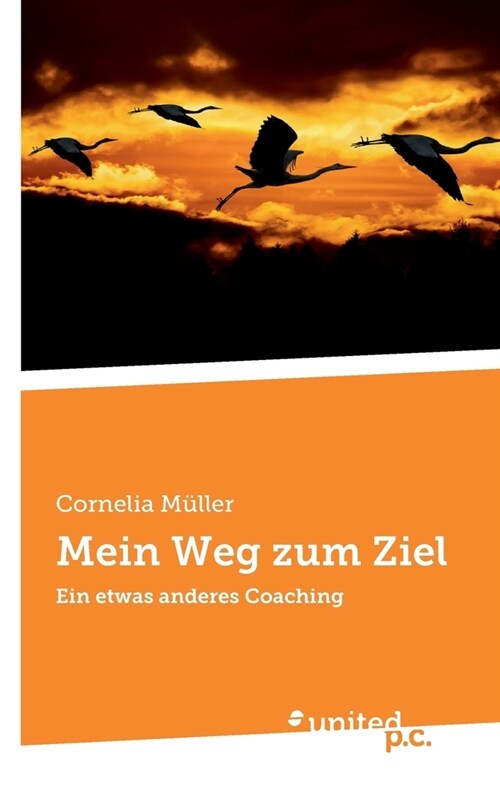 Mein Weg zum Ziel: Ein etwas anderes Coaching (Paperback)