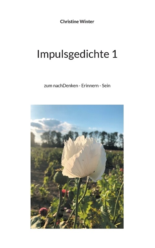 Impulsgedichte 1: zum nachDenken - Erinnern - Sein (Paperback)