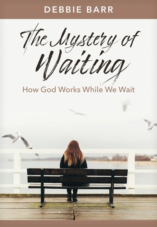 The Mystery of Waiting: How God Works While We Wait (Paperback)