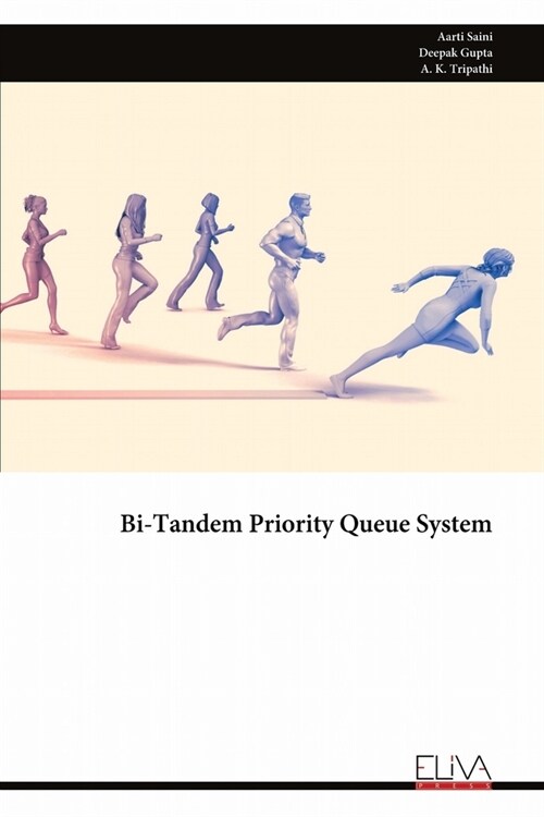 Bi-Tandem Priority Queue System (Paperback)