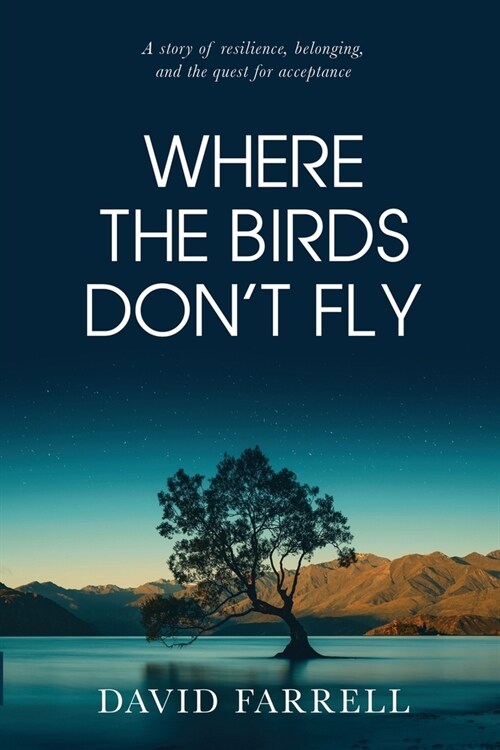 Where The Birds Dont Fly (Paperback)