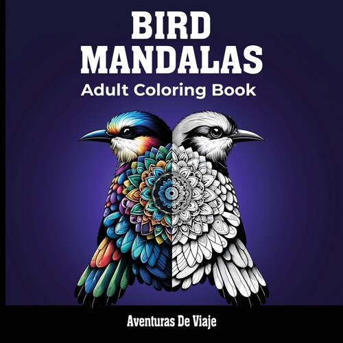 Bird Mandalas & Painted Moments (Paperback)