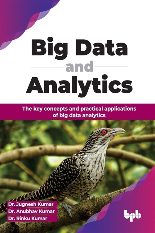 Big Data and Analytics: The Key Concepts and Practical Applications of Big Data Analytics (Paperback)