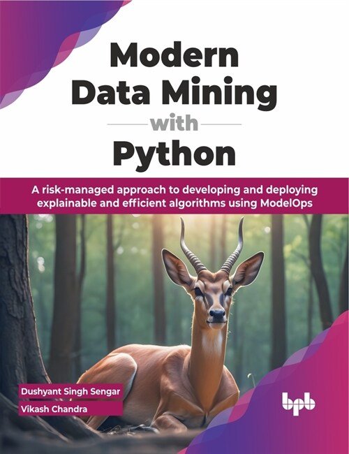 Modern Data Mining with Python: A Risk-Managed Approach to Developing and Deploying Explainable and Efficient Algorithms Using Modelops (Paperback)