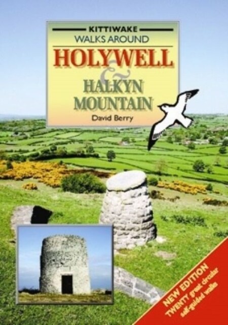 Walking Around Holywell and Halkyn Mountain (Paperback)