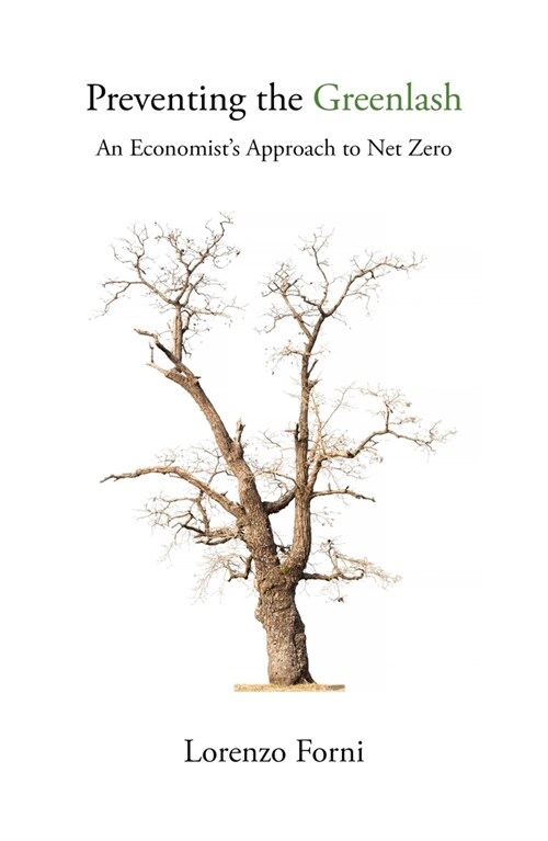 Preventing the Greenlash : An Economist’s Approach to Net Zero (Paperback)