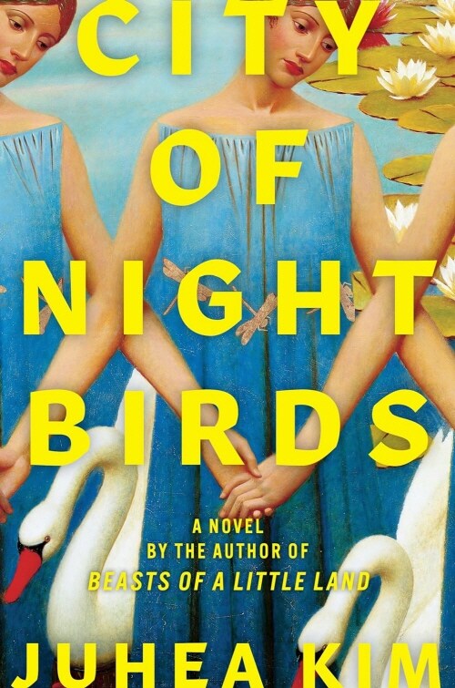 City of Night Birds (Hardcover)