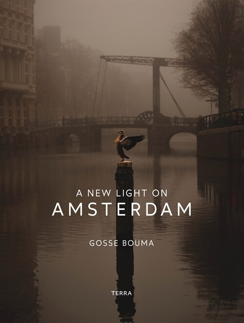 A New Light on Amsterdam (Hardcover)